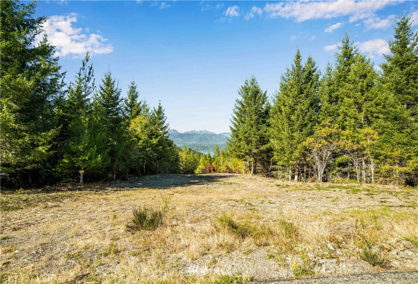 373 Dewatto, Seabeck, Washington 98380, ,Land,For Sale,Dewatto,NWM1846018