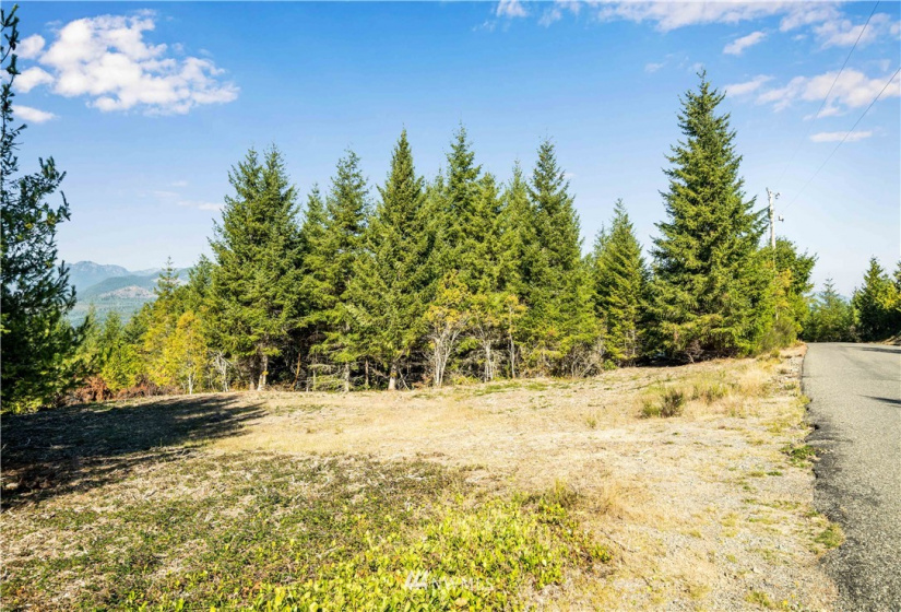 373 Dewatto, Seabeck, Washington 98380, ,Land,For Sale,Dewatto,NWM1846018