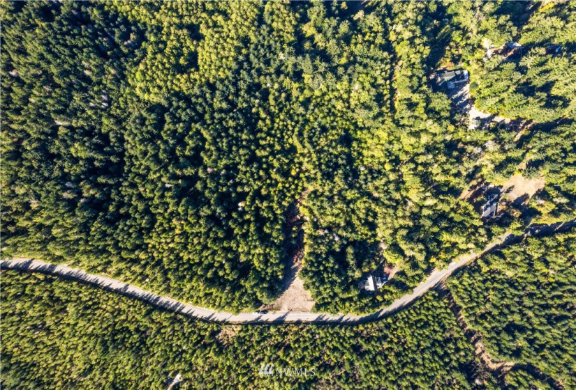 373 Dewatto, Seabeck, Washington 98380, ,Land,For Sale,Dewatto,NWM1846018
