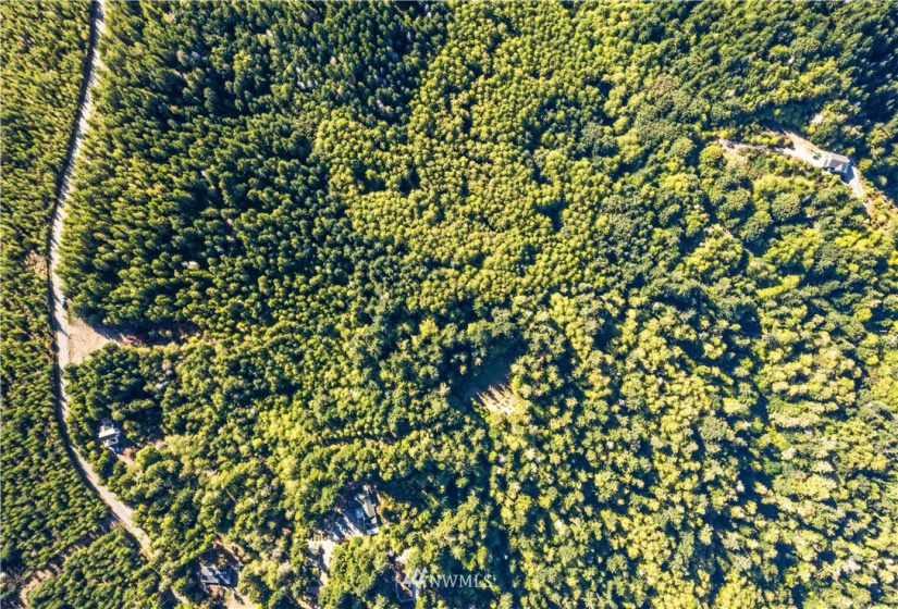 373 Dewatto, Seabeck, Washington 98380, ,Land,For Sale,Dewatto,NWM1846018