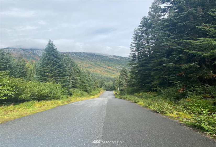 0 NNA Stevens Pass, Leavenworth, Washington 98826, ,Land,For Sale,Stevens Pass,NWM1846376
