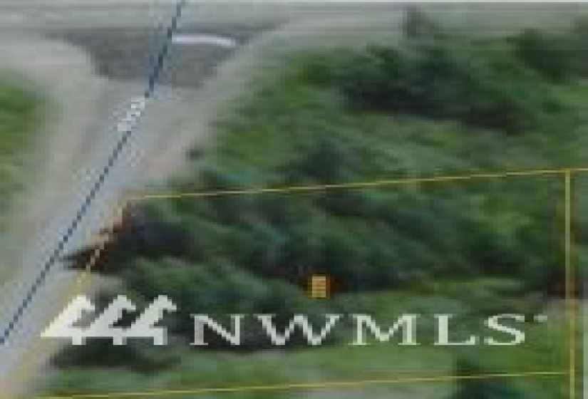 0 NNA Stevens Pass, Leavenworth, Washington 98826, ,Land,For Sale,Stevens Pass,NWM1846472