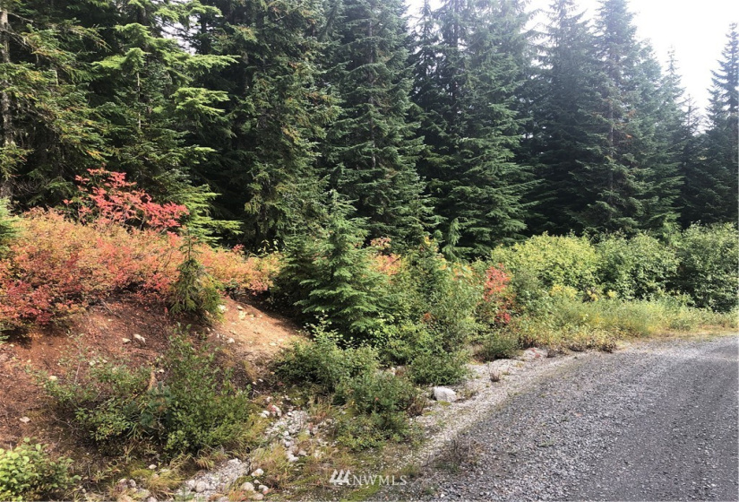 0 NNA Stevens Pass, Leavenworth, Washington 98826, ,Land,For Sale,Stevens Pass,NWM1846472