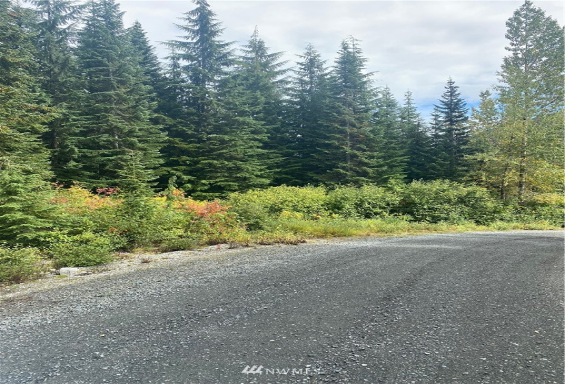0 NNA Stevens Pass, Leavenworth, Washington 98826, ,Land,For Sale,Stevens Pass,NWM1846472