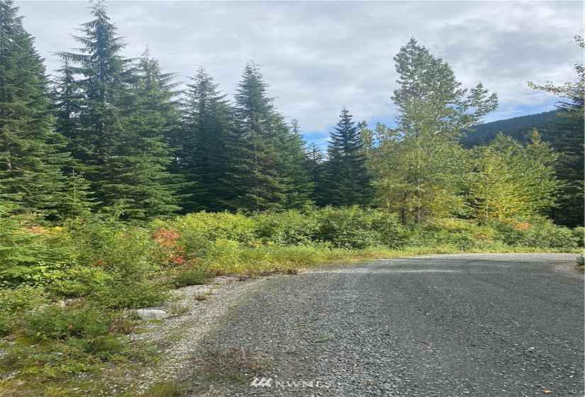0 NNA Stevens Pass, Leavenworth, Washington 98826, ,Land,For Sale,Stevens Pass,NWM1846472