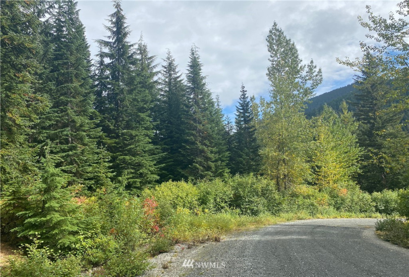 0 NNA Stevens Pass, Leavenworth, Washington 98826, ,Land,For Sale,Stevens Pass,NWM1846472