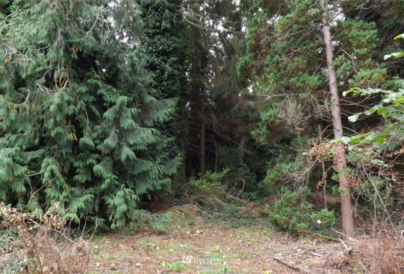 3025 Cedarwood, Bellingham, Washington 98225, ,Land,For Sale,Country Club Acreage,Cedarwood,NWM1839126