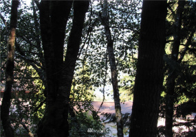 37 Louise View, Bellingham, Washington 98229, ,Land,For Sale,Sudden Valley Div 27,Louise View,NWM1846799