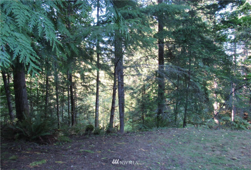 37 Louise View, Bellingham, Washington 98229, ,Land,For Sale,Sudden Valley Div 27,Louise View,NWM1846799