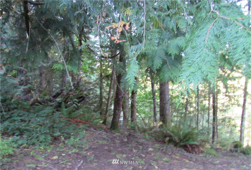 37 Louise View, Bellingham, Washington 98229, ,Land,For Sale,Sudden Valley Div 27,Louise View,NWM1846799