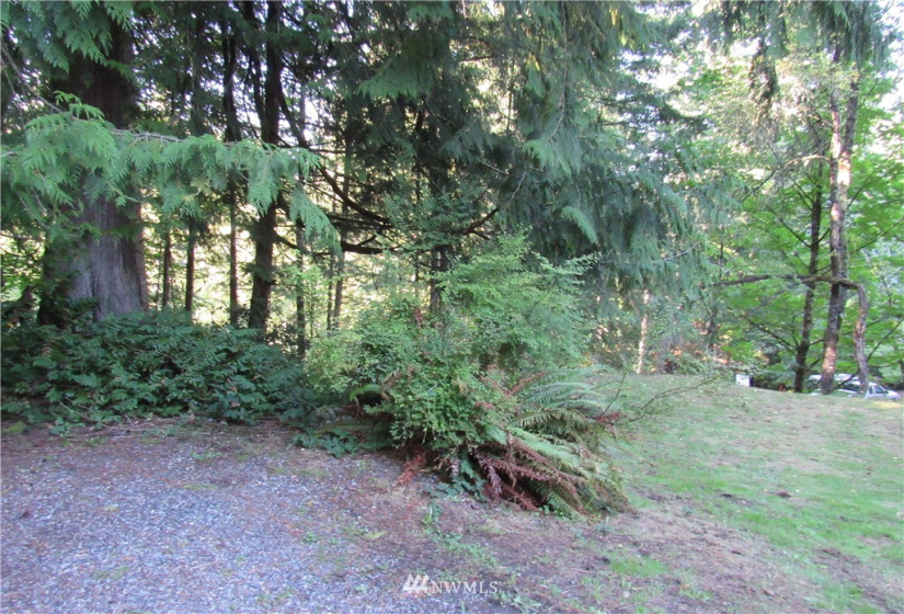 37 Louise View, Bellingham, Washington 98229, ,Land,For Sale,Sudden Valley Div 27,Louise View,NWM1846799