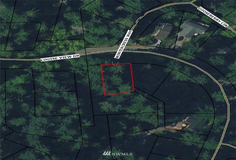37 Louise View, Bellingham, Washington 98229, ,Land,For Sale,Sudden Valley Div 27,Louise View,NWM1846799