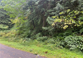 13 Wintercress, Bellingham, Washington 98229, ,Land,For Sale,Sudden Valley Div 27,Wintercress,NWM1846745