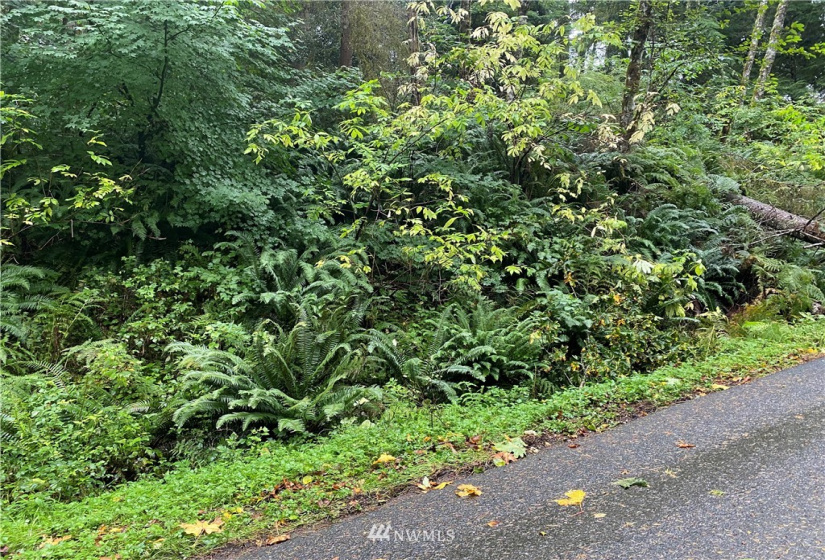 13 Wintercress, Bellingham, Washington 98229, ,Land,For Sale,Sudden Valley Div 27,Wintercress,NWM1846745