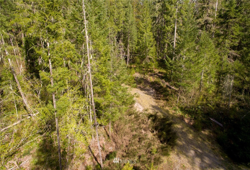 1 Lodgepole, Skamania, Washington 98616, ,Land,For Sale,Lodgepole,NWM1847890