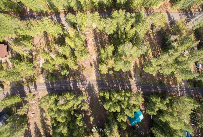 1 Lodgepole, Skamania, Washington 98616, ,Land,For Sale,Lodgepole,NWM1847890