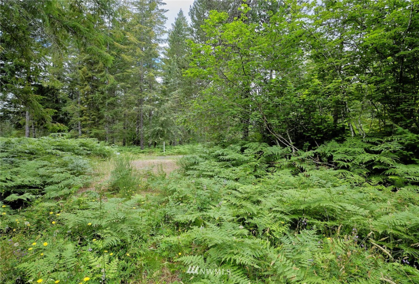 0 Lahar, Cougar, Washington 98616, ,Land,For Sale,Lahar,NWM1847898