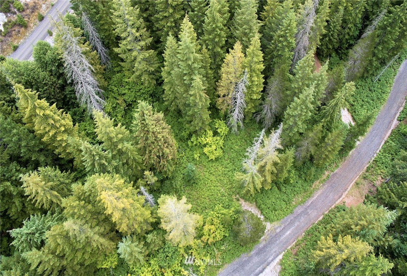 0 Lahar, Cougar, Washington 98616, ,Land,For Sale,Lahar,NWM1847898
