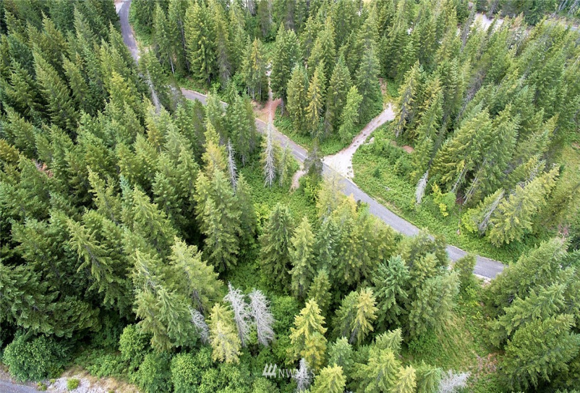 0 Lahar, Cougar, Washington 98616, ,Land,For Sale,Lahar,NWM1847898