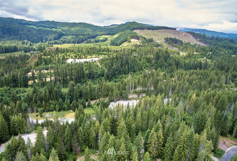 0 Lahar, Cougar, Washington 98616, ,Land,For Sale,Lahar,NWM1847898