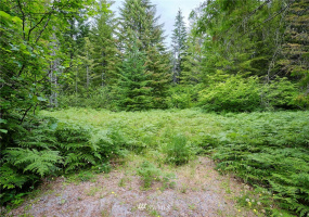 0 Lahar, Cougar, Washington 98616, ,Land,For Sale,Lahar,NWM1847898