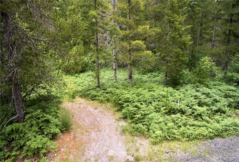 0 Lahar, Cougar, Washington 98616, ,Land,For Sale,Lahar,NWM1847898