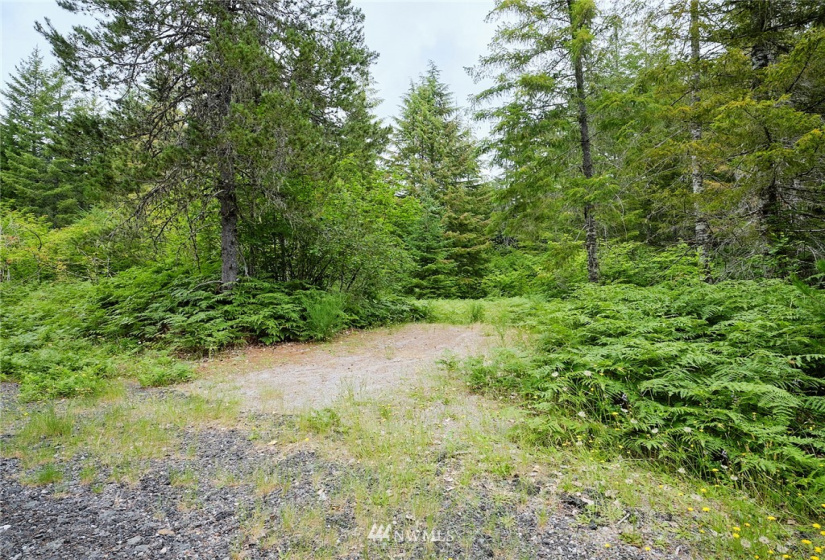0 Lahar, Cougar, Washington 98616, ,Land,For Sale,Lahar,NWM1847898