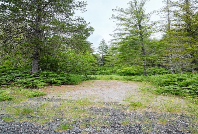 0 Lahar, Cougar, Washington 98616, ,Land,For Sale,Lahar,NWM1847898