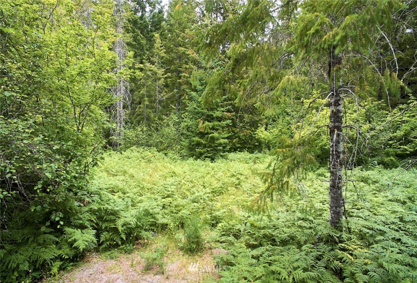 0 Lahar, Cougar, Washington 98616, ,Land,For Sale,Lahar,NWM1847898
