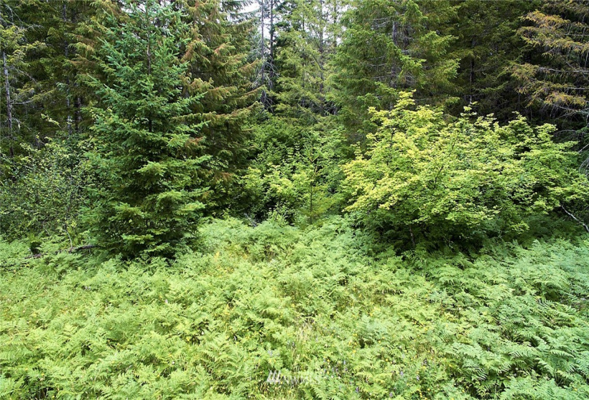 0 Lahar, Cougar, Washington 98616, ,Land,For Sale,Lahar,NWM1847898