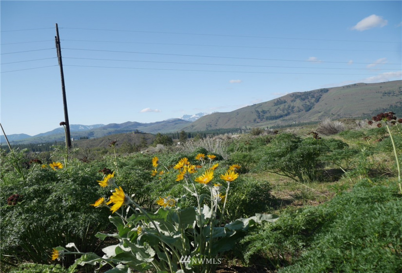 13 Ridge Drive, Winthrop, Washington 98862, ,Land,For Sale,Winthrop North Village PD,Ridge Drive,NWM1847754