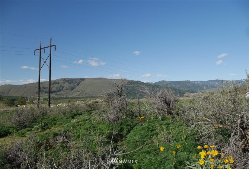 13 Ridge Drive, Winthrop, Washington 98862, ,Land,For Sale,Winthrop North Village PD,Ridge Drive,NWM1847754