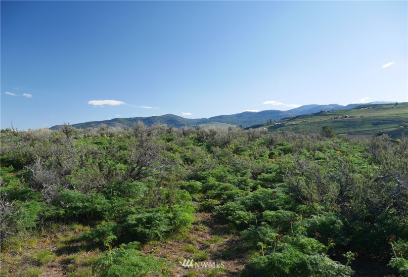 13 Ridge Drive, Winthrop, Washington 98862, ,Land,For Sale,Winthrop North Village PD,Ridge Drive,NWM1847754