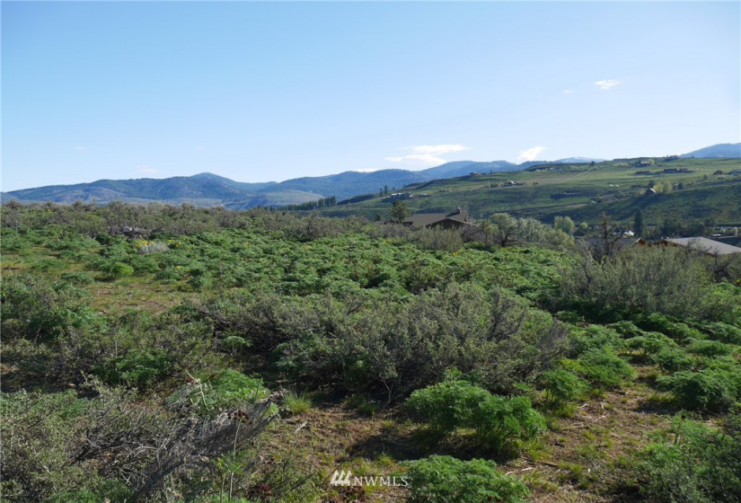 13 Ridge Drive, Winthrop, Washington 98862, ,Land,For Sale,Winthrop North Village PD,Ridge Drive,NWM1847754
