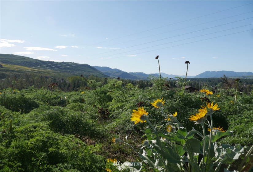 13 Ridge Drive, Winthrop, Washington 98862, ,Land,For Sale,Winthrop North Village PD,Ridge Drive,NWM1847754
