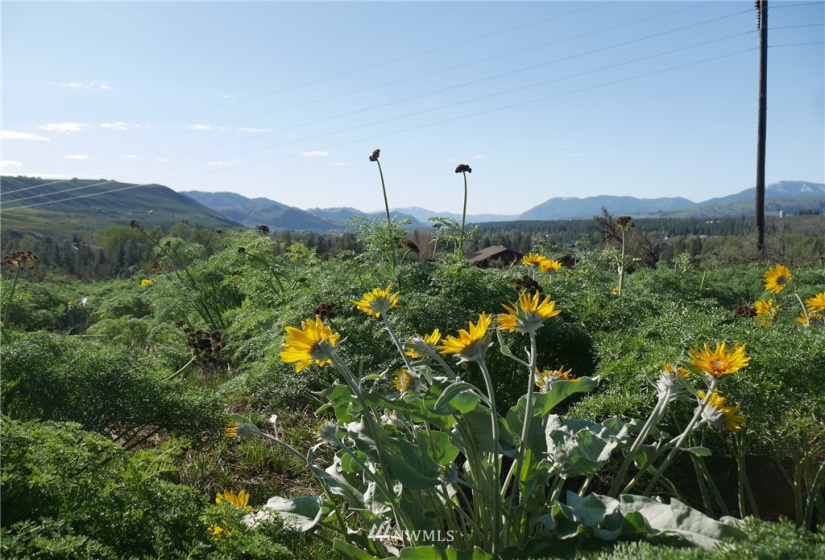 13 Ridge Drive, Winthrop, Washington 98862, ,Land,For Sale,Winthrop North Village PD,Ridge Drive,NWM1847754
