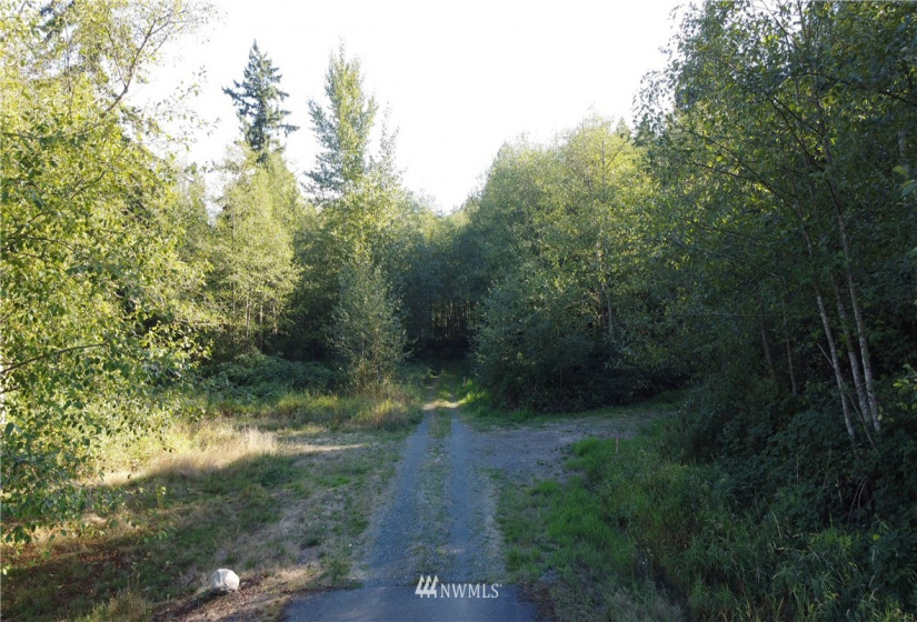 8383 Bridge, Blaine, Washington 98230, ,Land,For Sale,Rosseau Short Plat,Bridge,NWM1846525