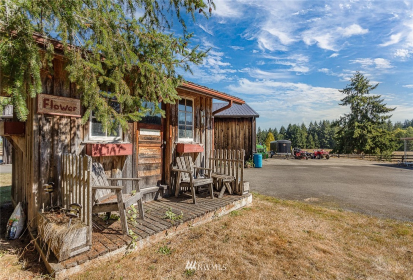 173 Frogner, Chehalis, Washington 98532, 3 Bedrooms Bedrooms, ,2 BathroomsBathrooms,Residential,For Sale,Sp #99-04-06,Frogner,NWM1799348