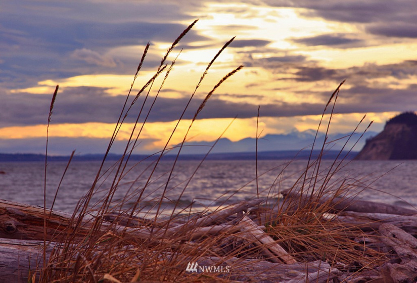 0 0 Sunlight Beach, Clinton, Washington 98236, ,Land,For Sale,Sunlight Beach,NWM1845481