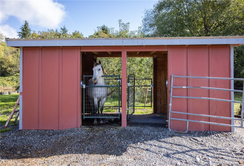 20705 Prairie Road, Sedro Woolley, Washington 98284, 4 Bedrooms Bedrooms, ,2 BathroomsBathrooms,Residential,For Sale,Prairie Road,NWM1848098