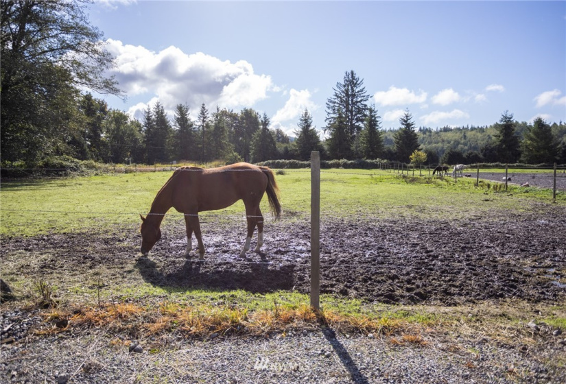 20705 Prairie Road, Sedro Woolley, Washington 98284, 4 Bedrooms Bedrooms, ,2 BathroomsBathrooms,Residential,For Sale,Prairie Road,NWM1848098