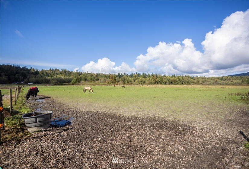 20705 Prairie Road, Sedro Woolley, Washington 98284, 4 Bedrooms Bedrooms, ,2 BathroomsBathrooms,Residential,For Sale,Prairie Road,NWM1848098