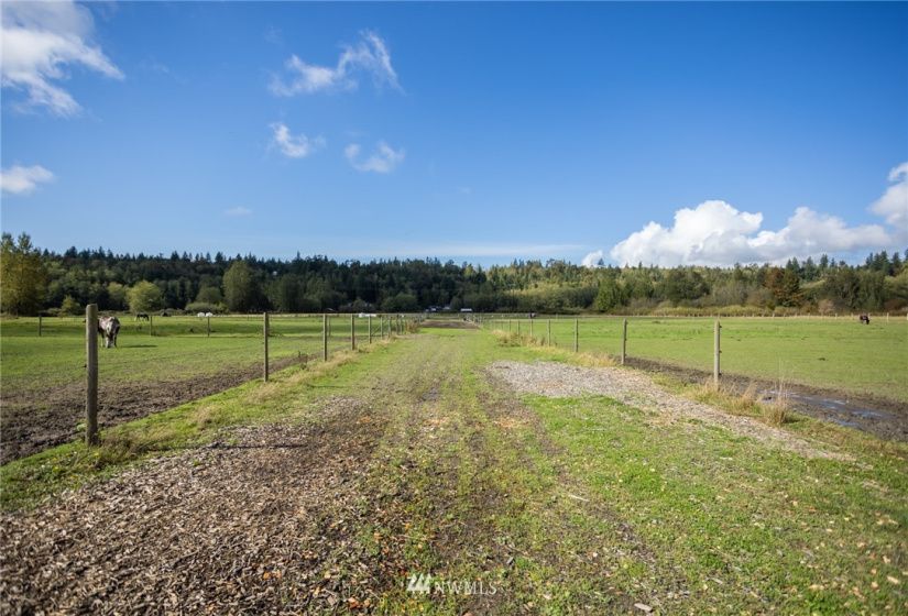 20705 Prairie Road, Sedro Woolley, Washington 98284, 4 Bedrooms Bedrooms, ,2 BathroomsBathrooms,Residential,For Sale,Prairie Road,NWM1848098