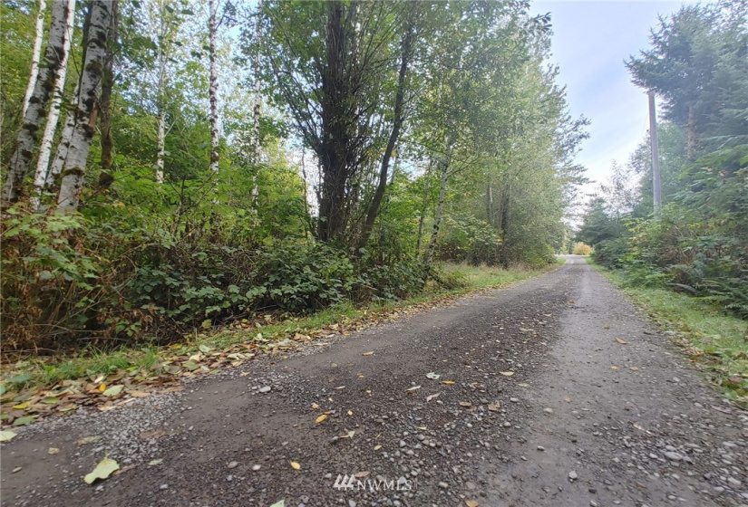 122 Fuhrman, Forks, Washington 98331, ,Land,For Sale,Fuhrman,NWM1848173