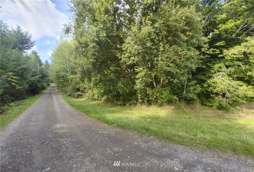 122 Fuhrman, Forks, Washington 98331, ,Land,For Sale,Fuhrman,NWM1848173