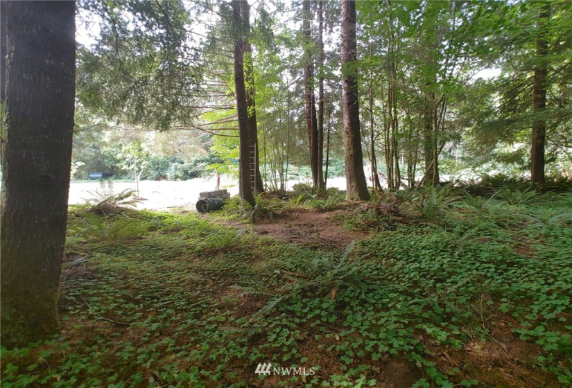 122 Fuhrman, Forks, Washington 98331, ,Land,For Sale,Fuhrman,NWM1848173