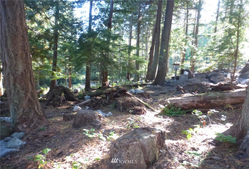 100 Lodgepole, Lopez Island, Washington 98261, ,Land,For Sale,Islandale No 1,Lodgepole,NWM1848230