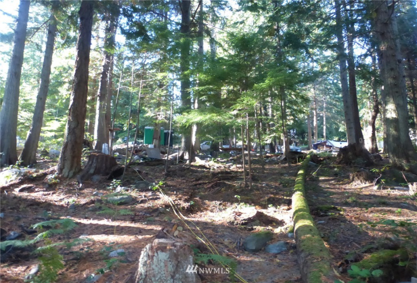 100 Lodgepole, Lopez Island, Washington 98261, ,Land,For Sale,Islandale No 1,Lodgepole,NWM1848230