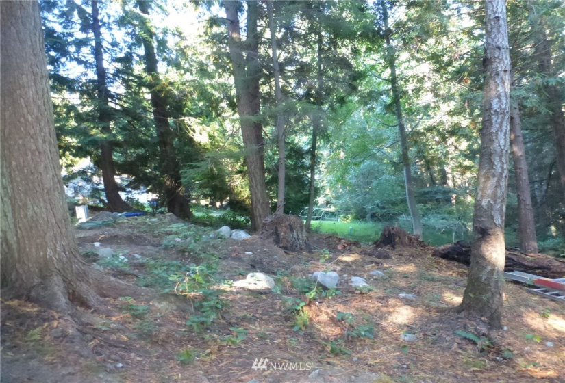 100 Lodgepole, Lopez Island, Washington 98261, ,Land,For Sale,Islandale No 1,Lodgepole,NWM1848230
