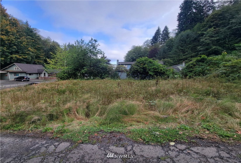 929 Duffy, Aberdeen, Washington 98520, ,Land,For Sale,Duffy,NWM1847298